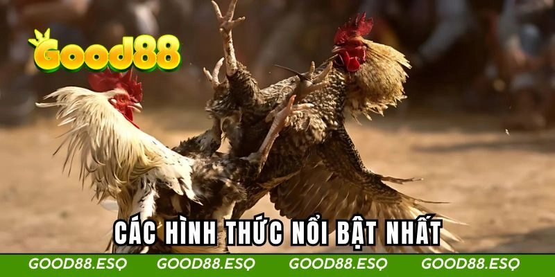 Các hình thức nổi bật nhất